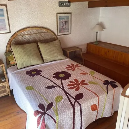 公寓 Magnificent A Few Meters From The Sea *