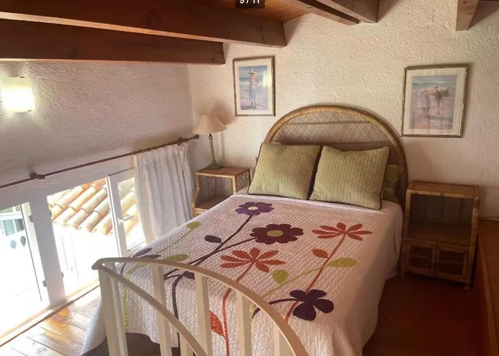 Magnificent A Few Meters From The Sea